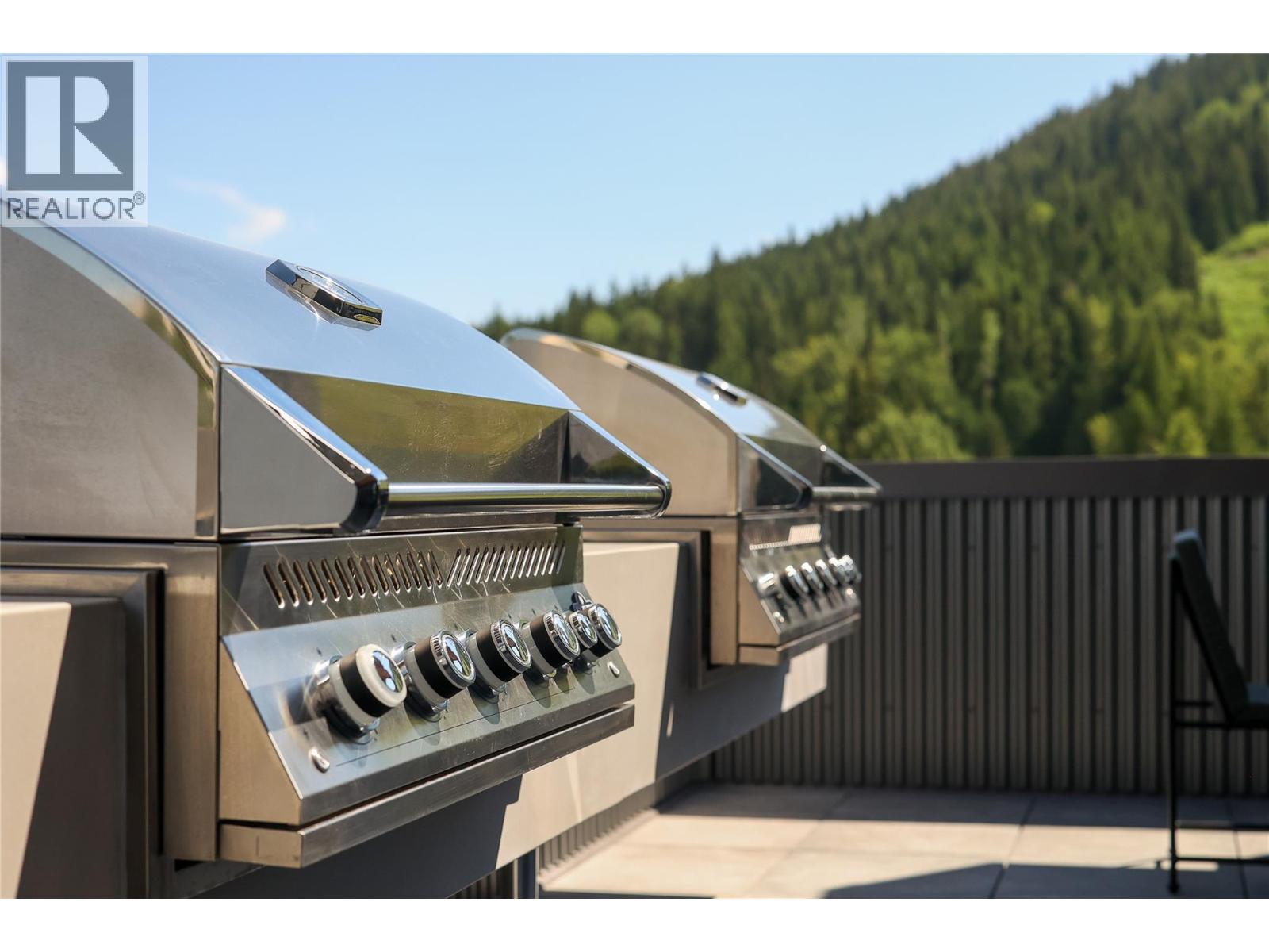 4280 Red Mountain Road Unit# 409, Rossland