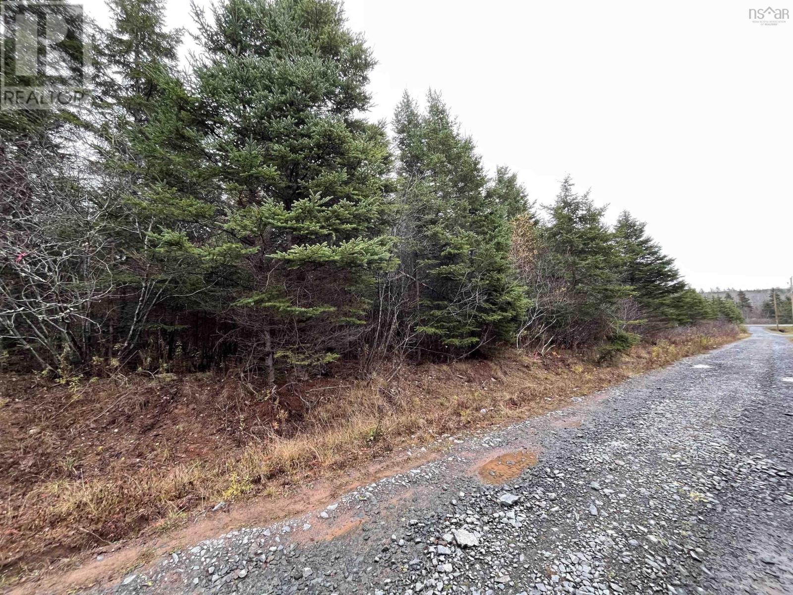 Property 4 of 6 of Lot 2B Dandylion Lane