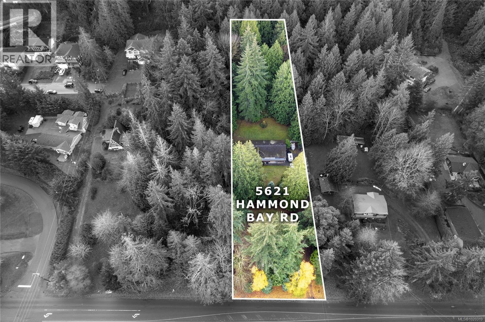 5621 Hammond Bay Rd - 2