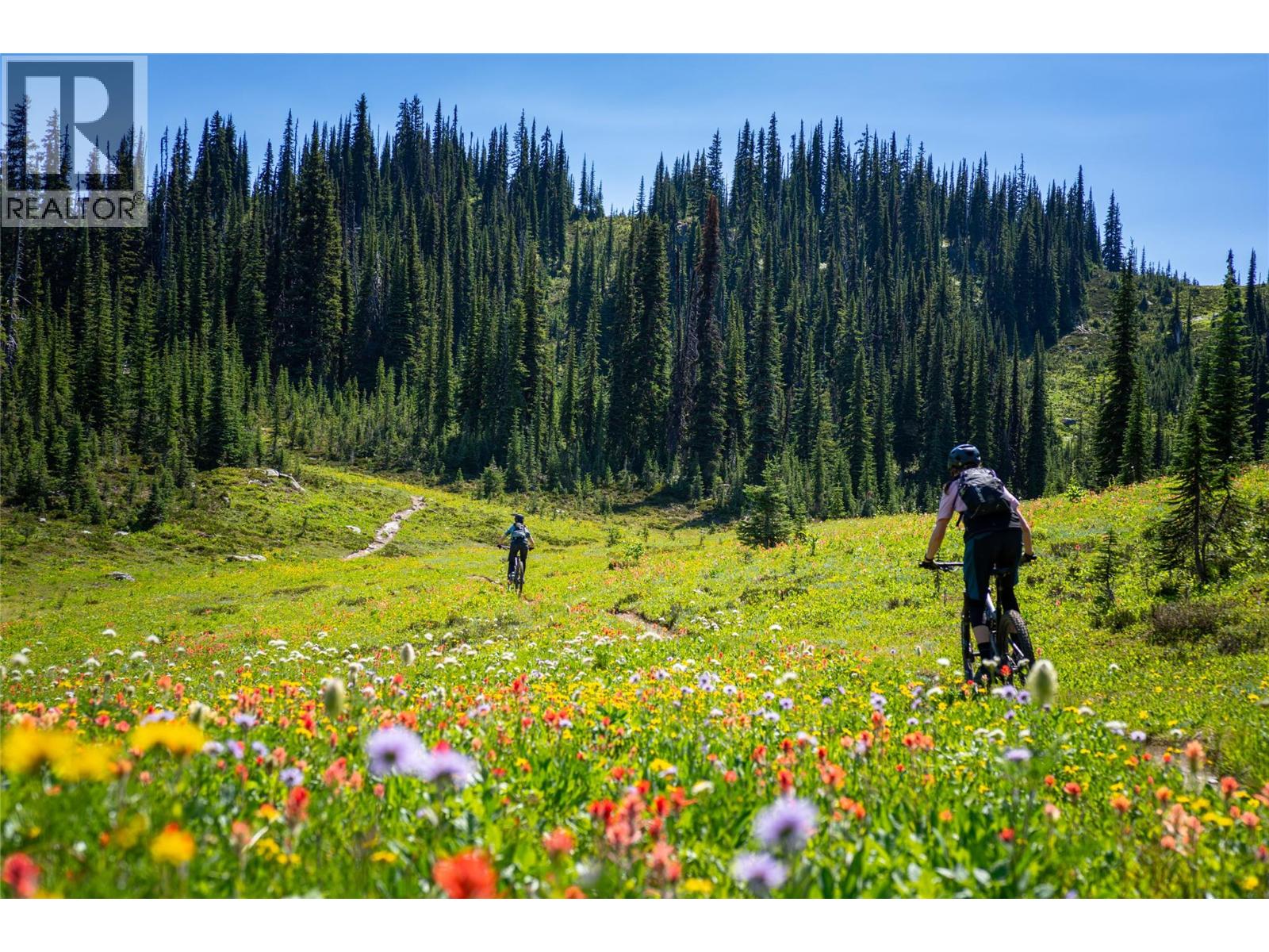 2465 Monashee Court Unit# 22, Revelstoke