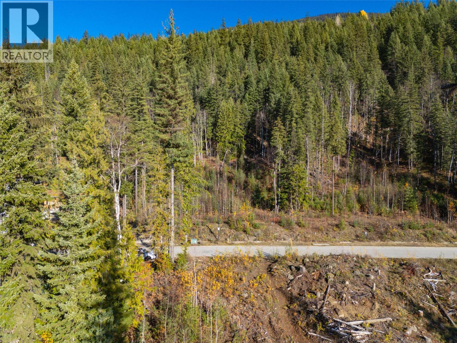 2465 Monashee Court Unit# 22, Revelstoke