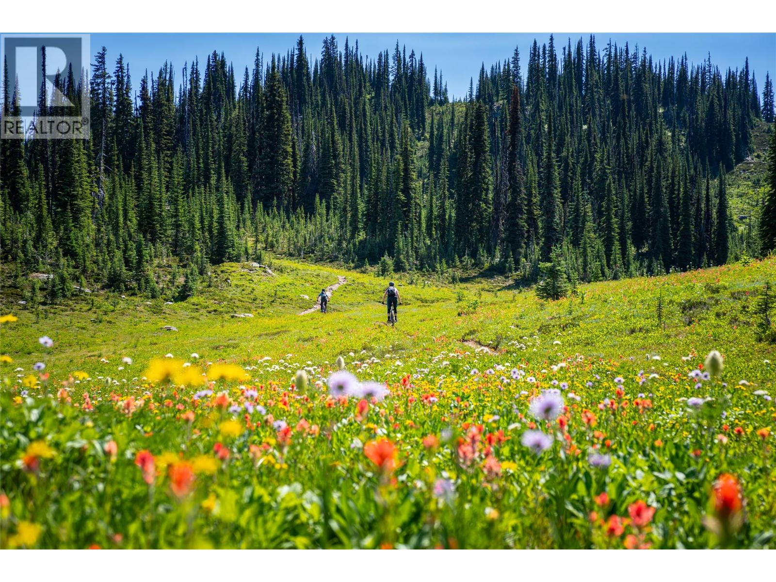 2465 Monashee Court Unit# 22, Revelstoke