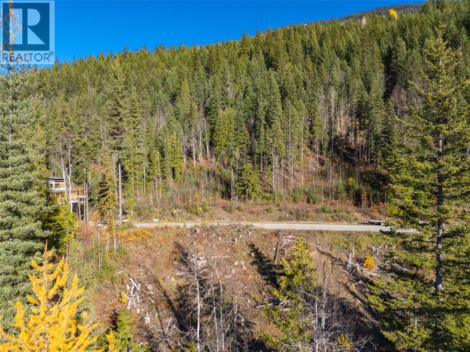 2465 Monashee Court Unit# 22, Revelstoke