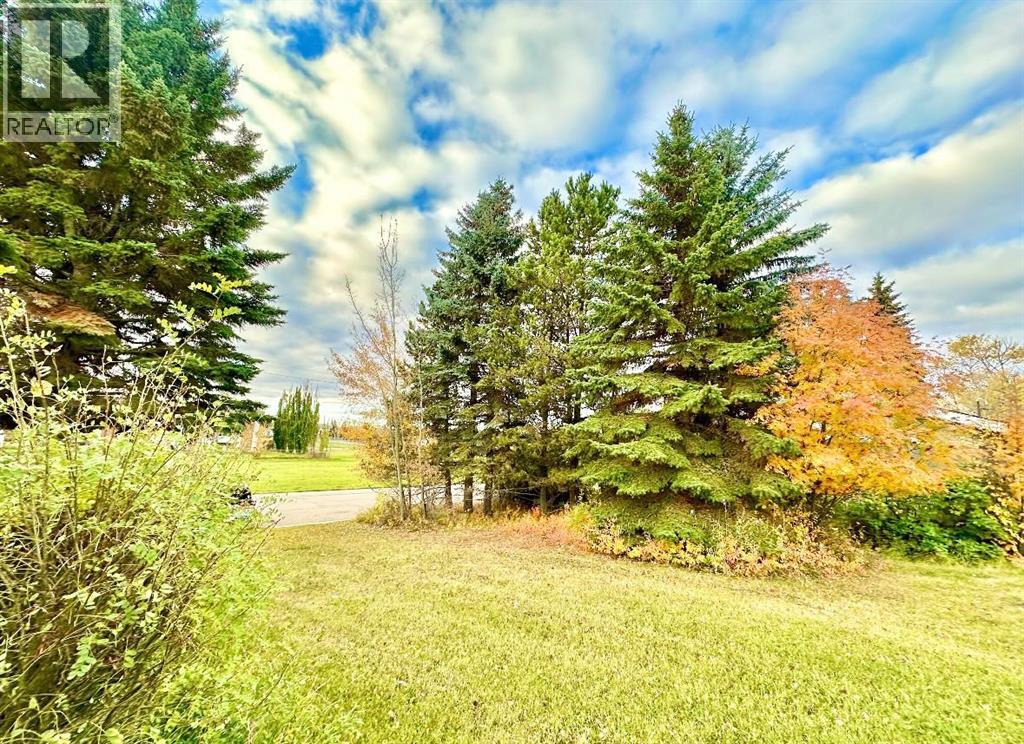 10316 103 Ave, Lac La Biche