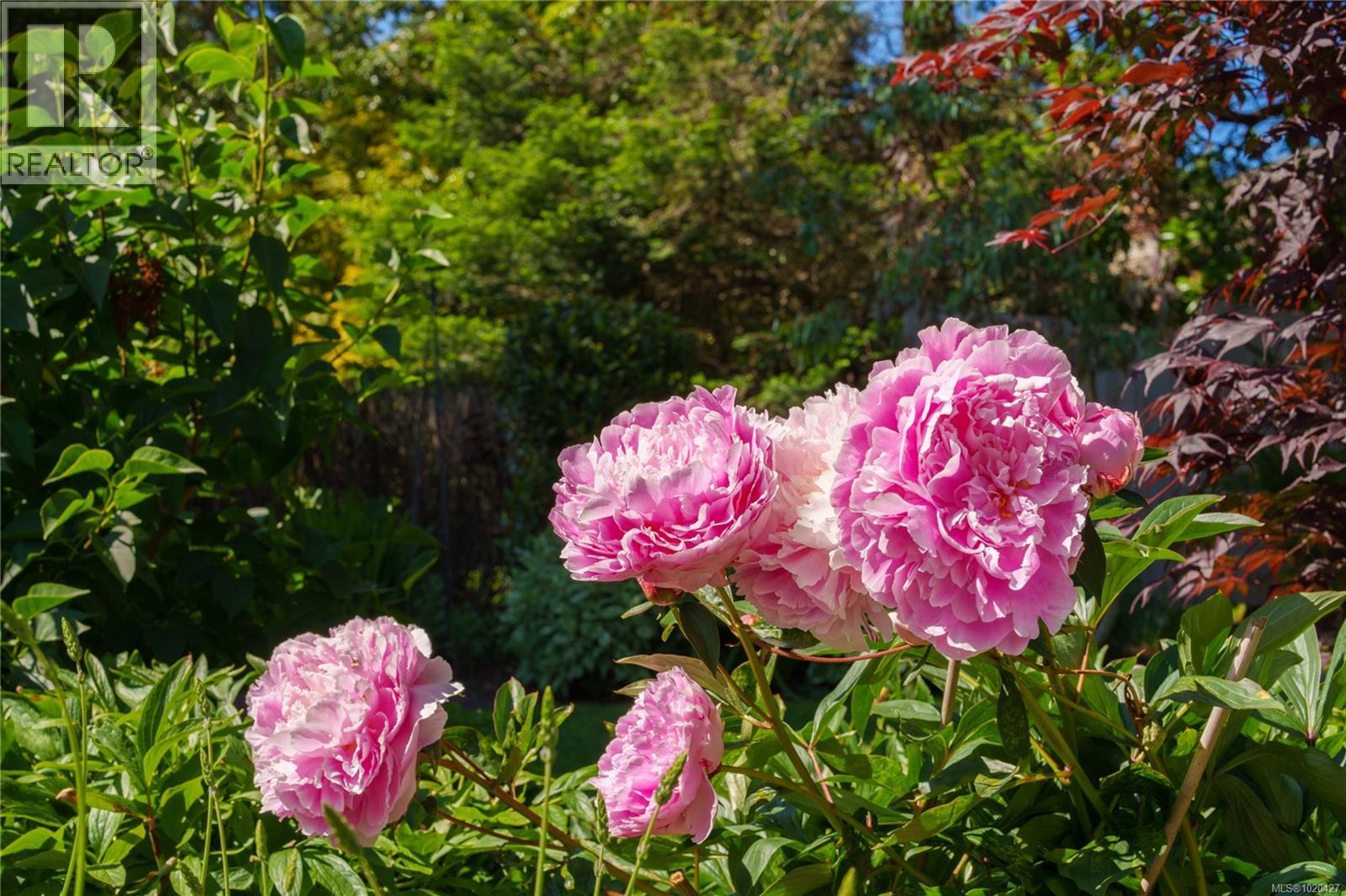  2780 Arbutus Road, Saanich