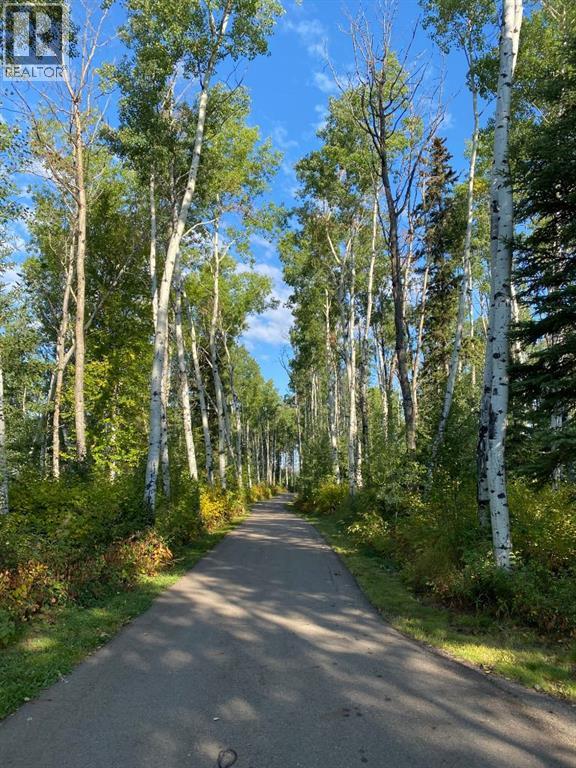 204 Sparrow Hawk Drive, Fort McMurray