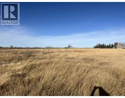 Range Rd 160 Ne 13 21 16 W4, Rosemary, AB T0J2W0 Photo 15