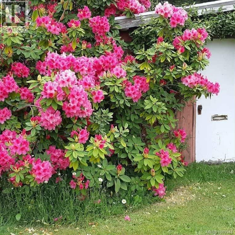 6883 Westcott Rd, Duncan