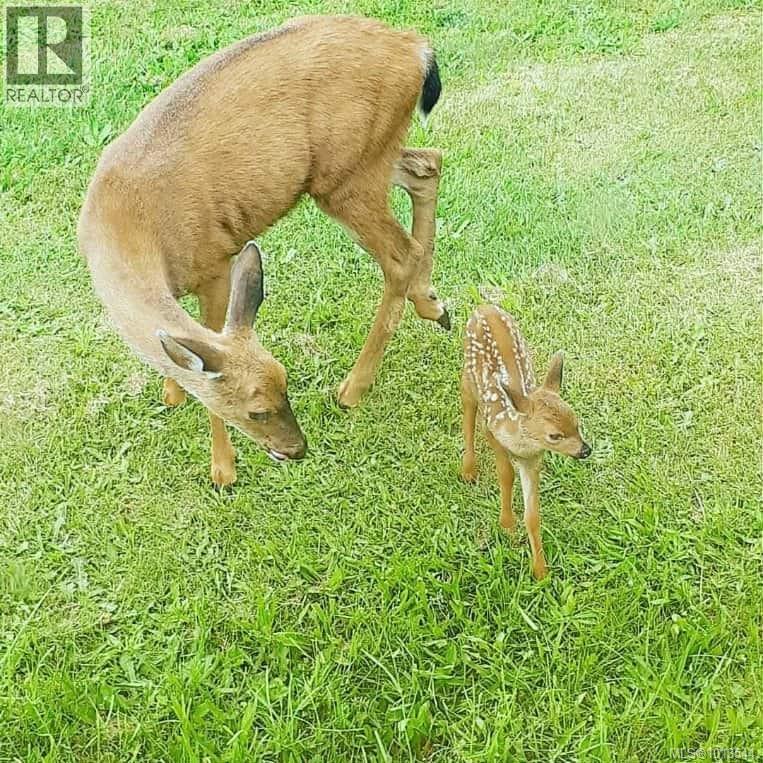 6883 Westcott Rd, Duncan