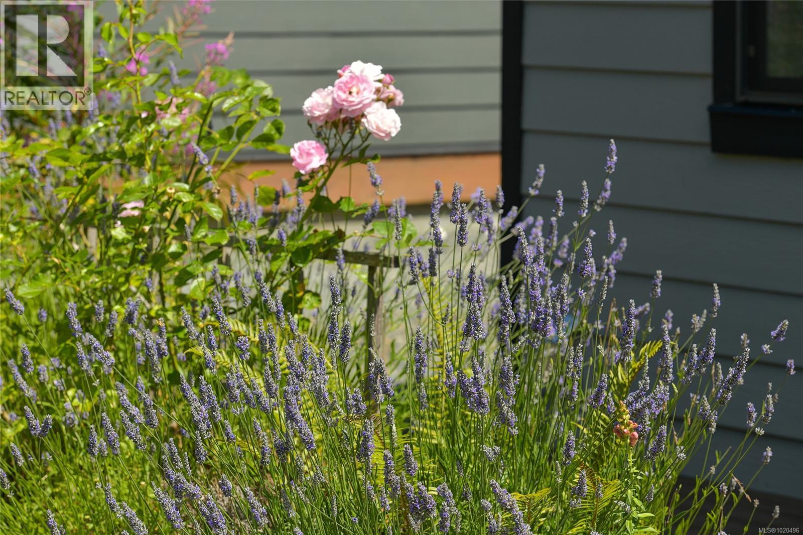  3822 TRAILHEAD Drive, Sooke