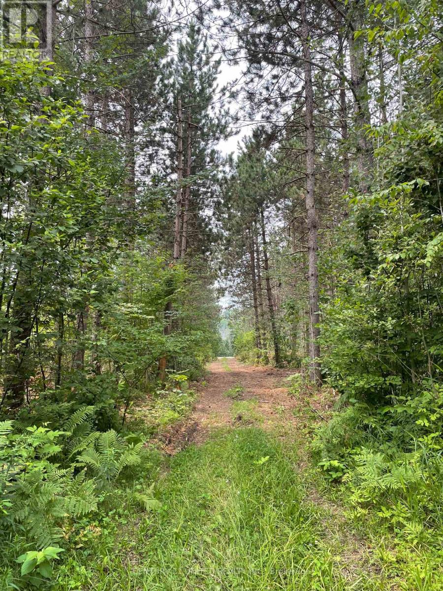 0 GOVERNMENT ROAD - Photo 4 of 5, Whitewater Region, Ontario