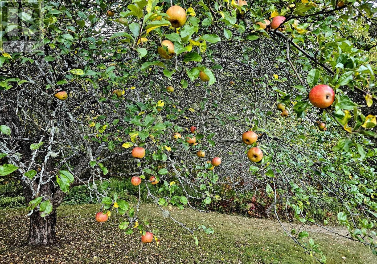 Property 14 of 49 of 12812 Shore Road