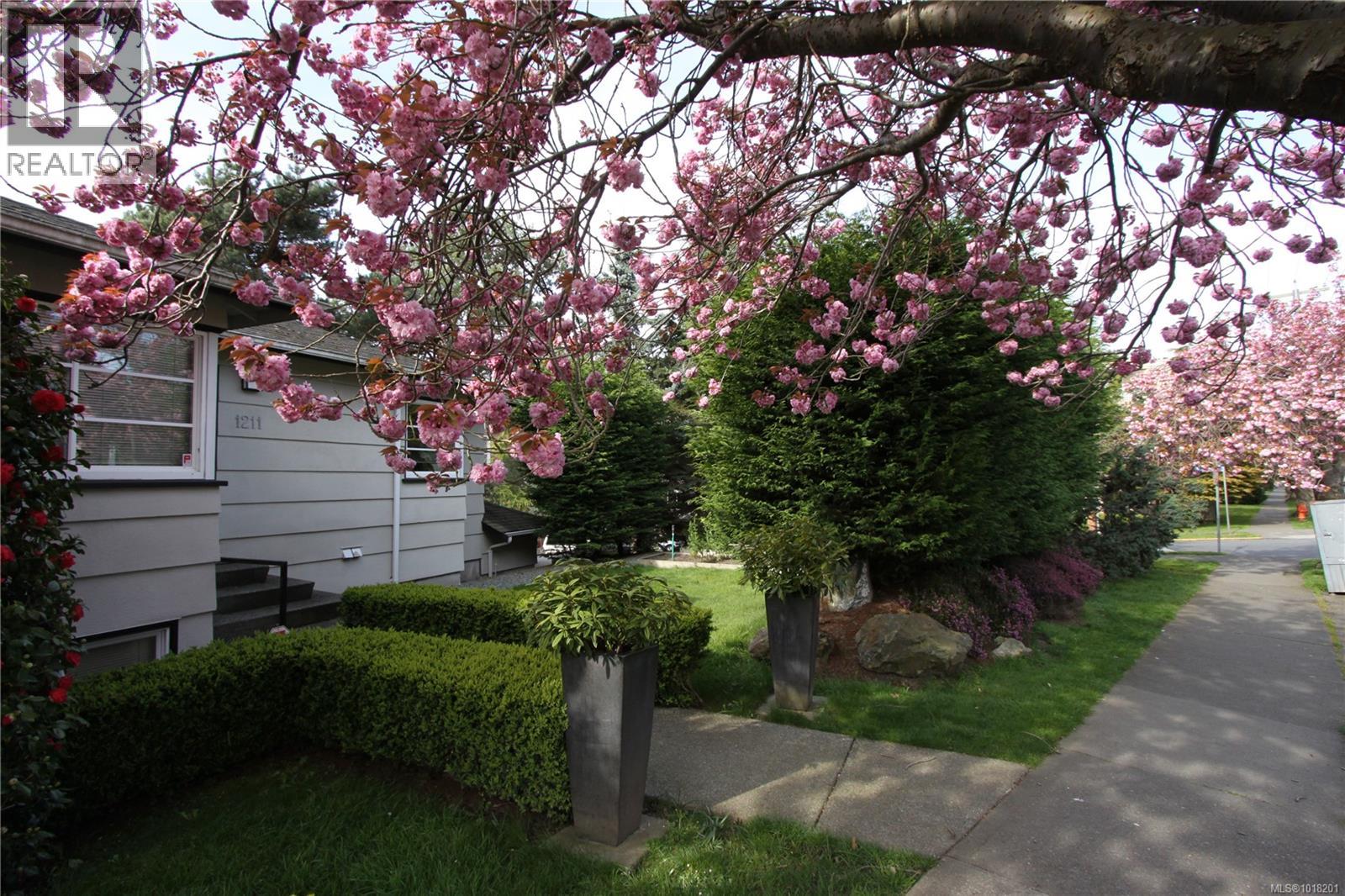 1211 Fairfield Rd, Victoria