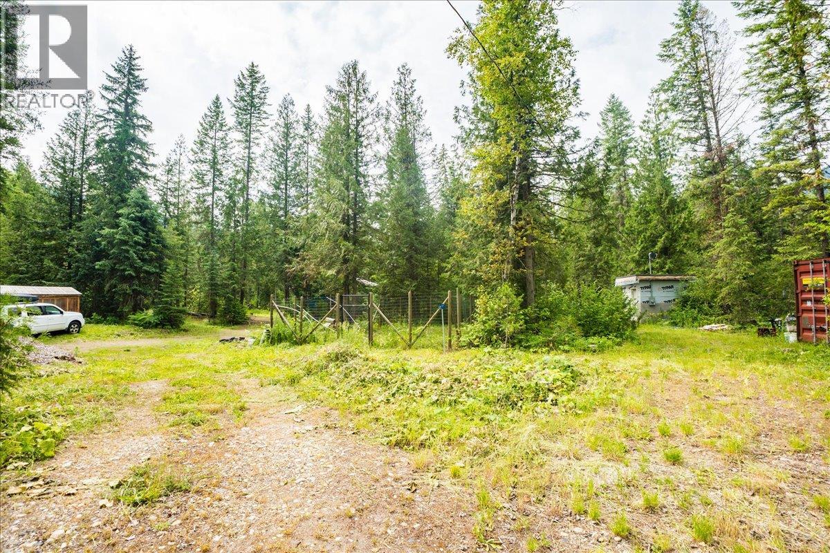 116 Liness Road, Salmo