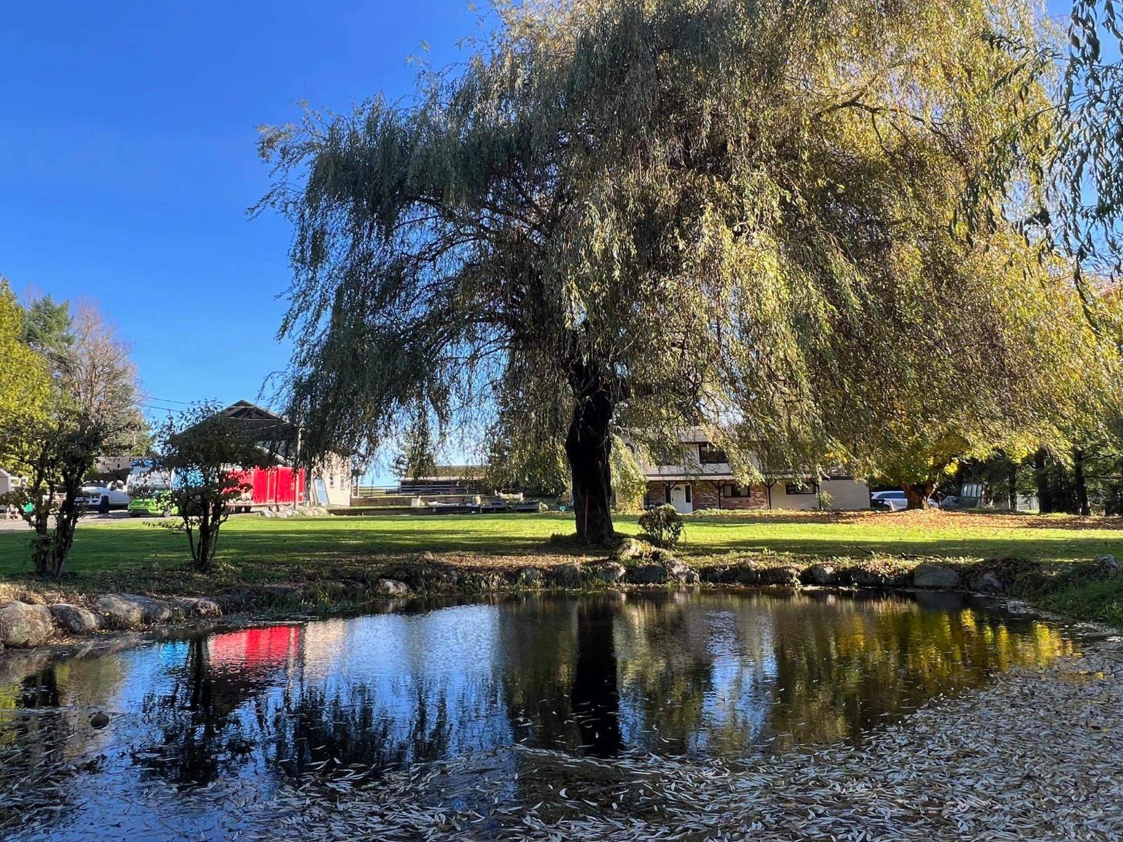 6050 LECLAIR STREET, Abbotsford