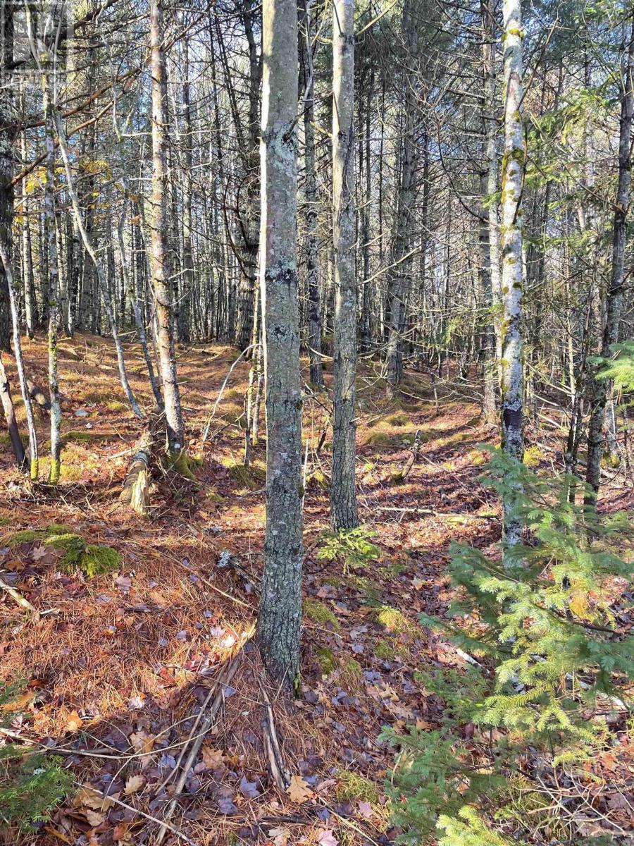 Property 1 of 10 of Lot 4 Cornwall Road