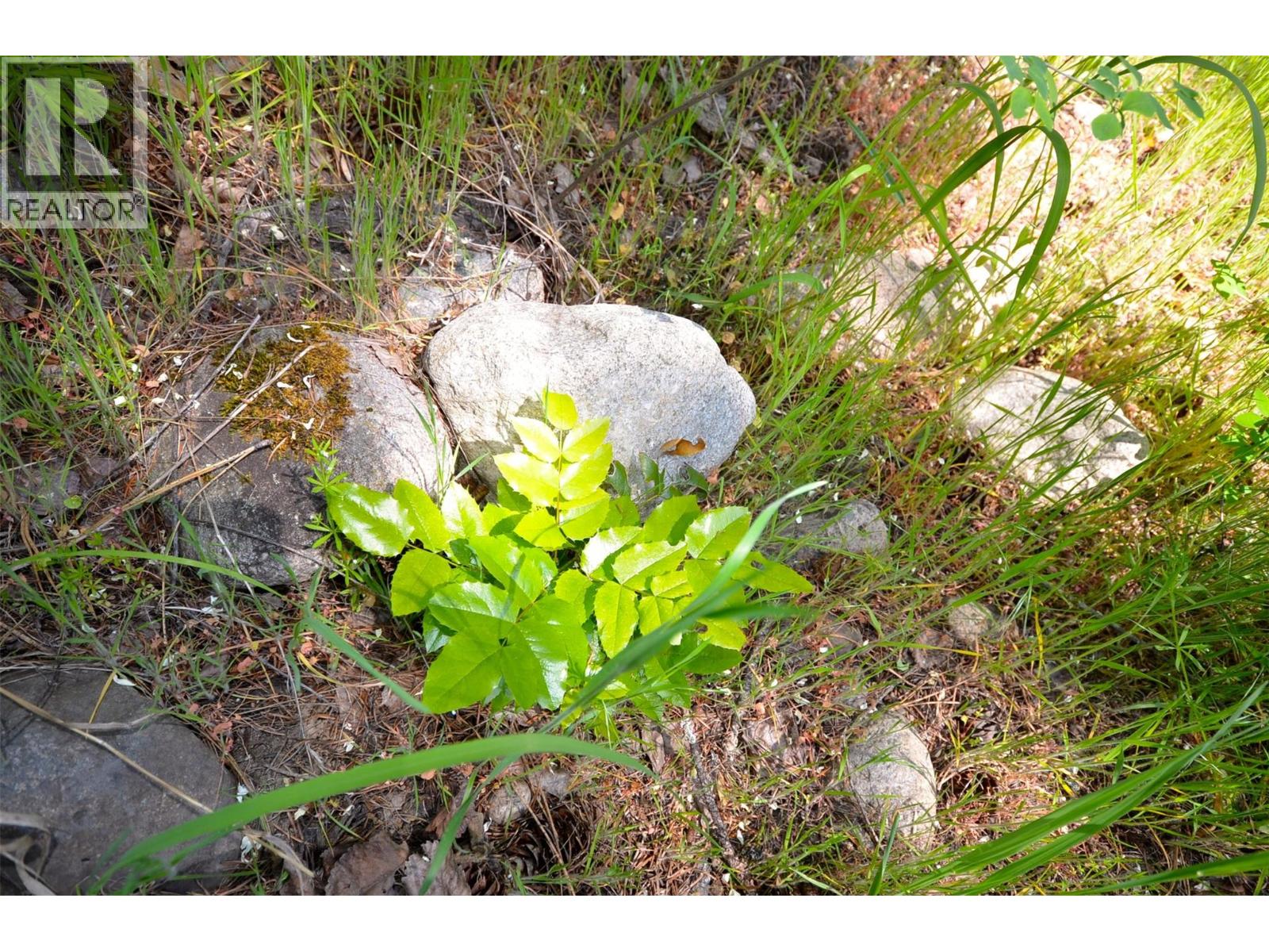  10713 Westshore Road, Vernon