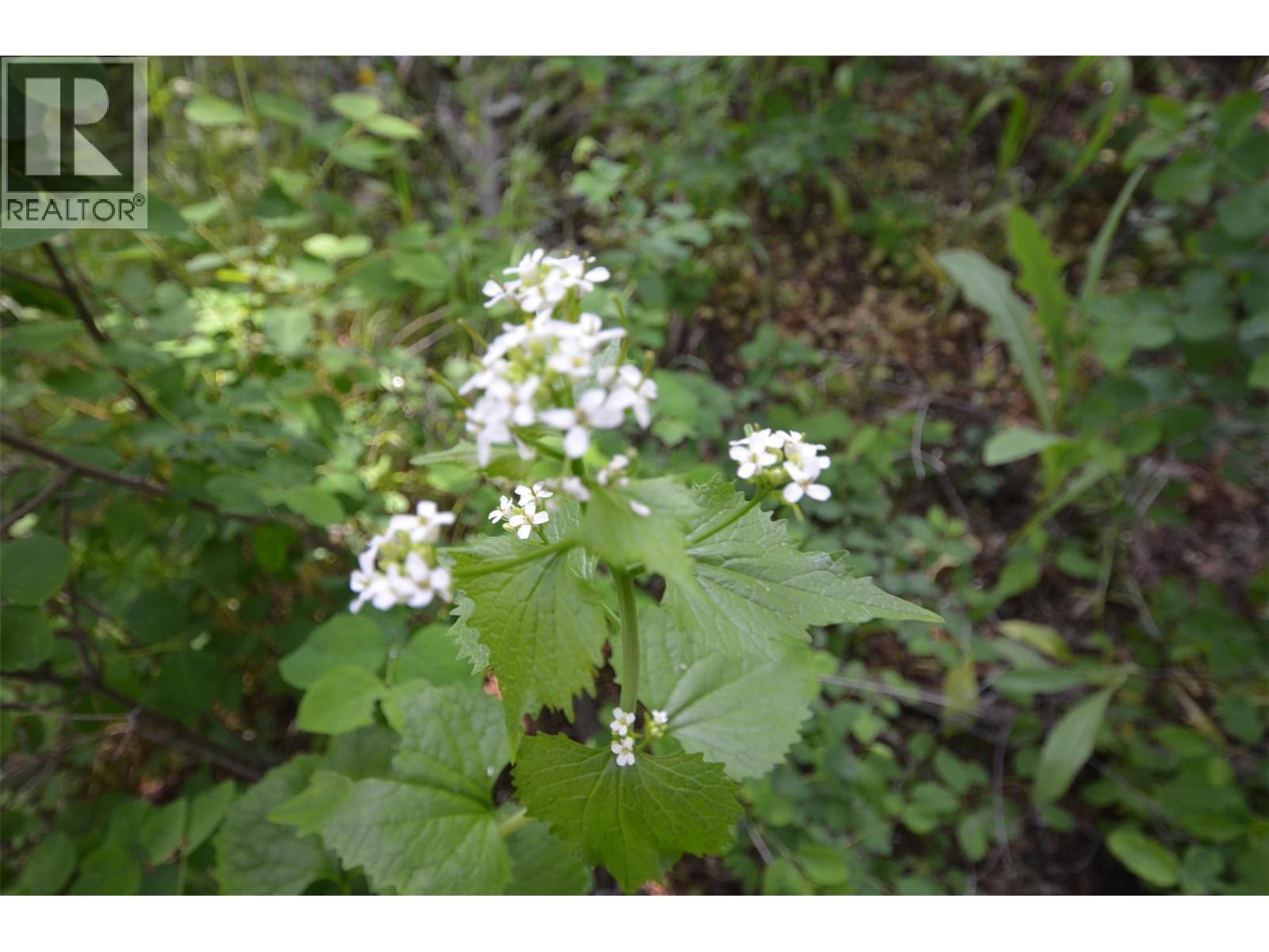  10713 Westshore Road, Vernon