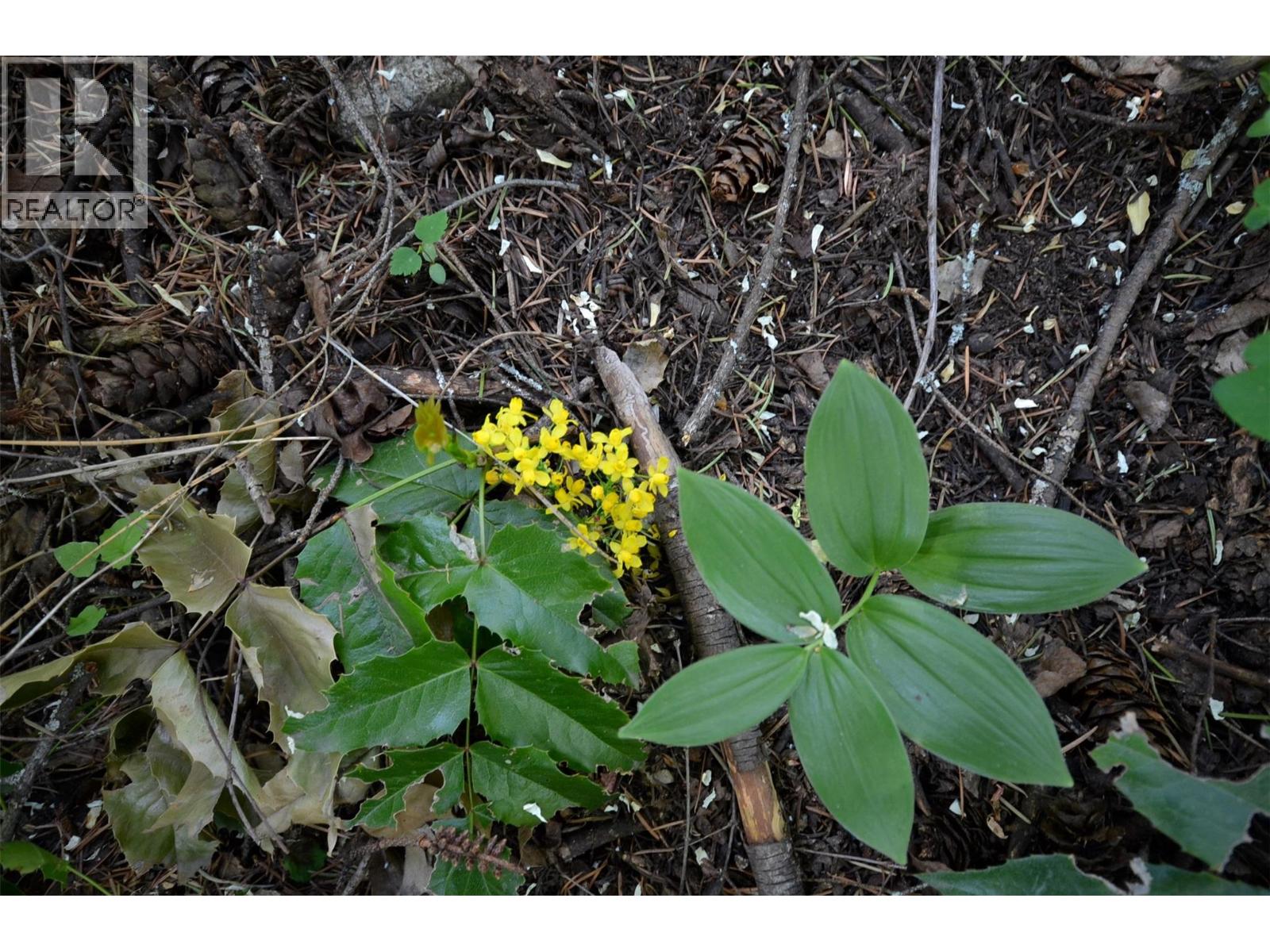  10713 Westshore Road, Vernon