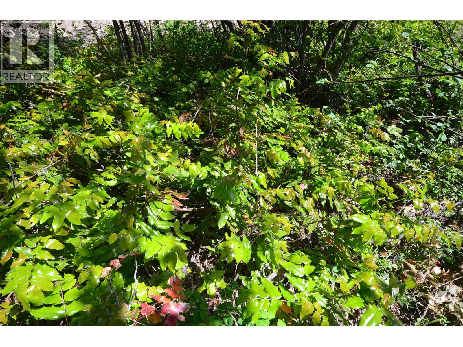  10713 Westshore Road, Vernon