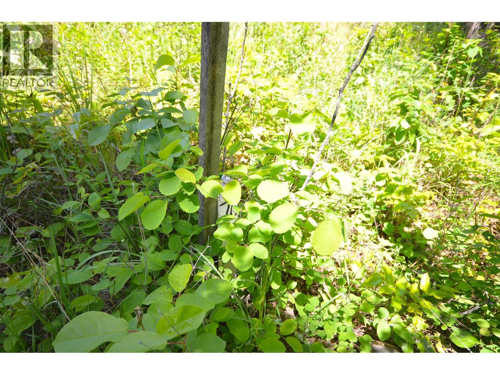  10713 Westshore Road, Vernon