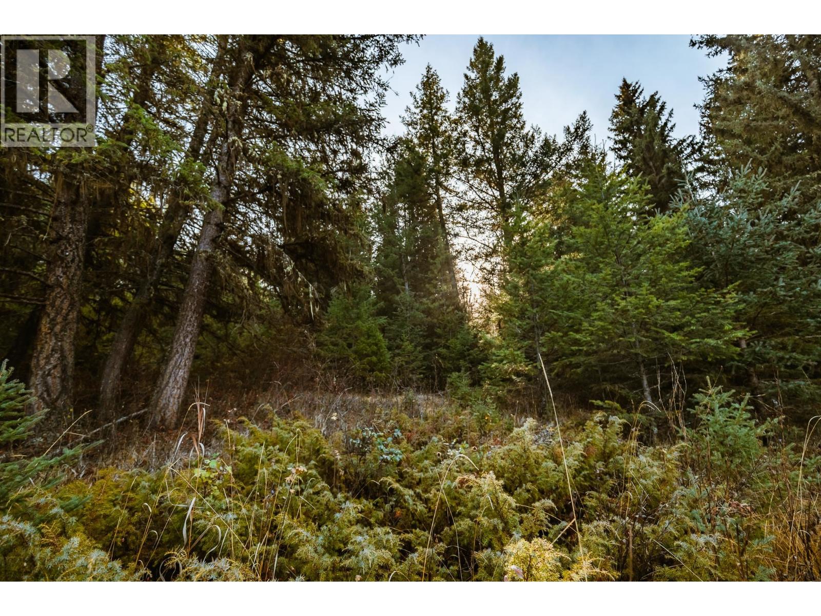 1442 CHIMNEY VALLEY ROAD, Williams Lake