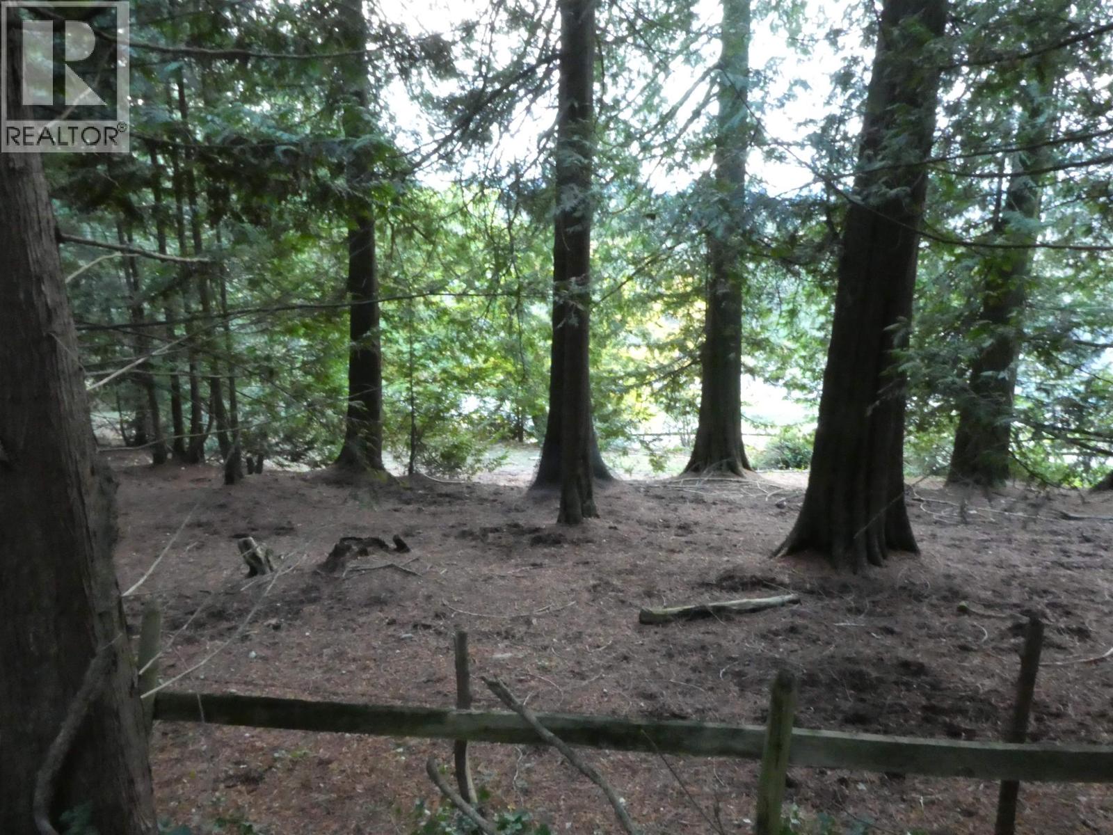 14042 232 STREET, Maple Ridge