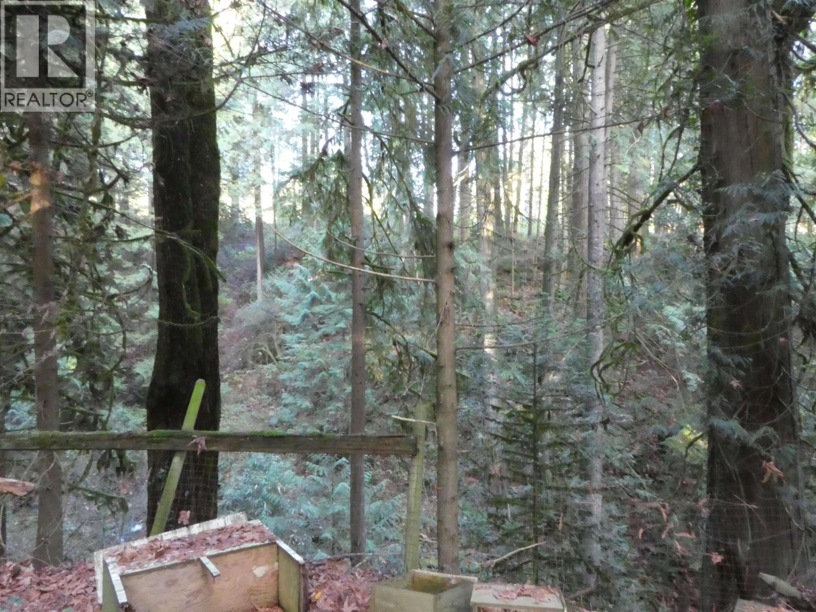 14042 232 STREET, Maple Ridge