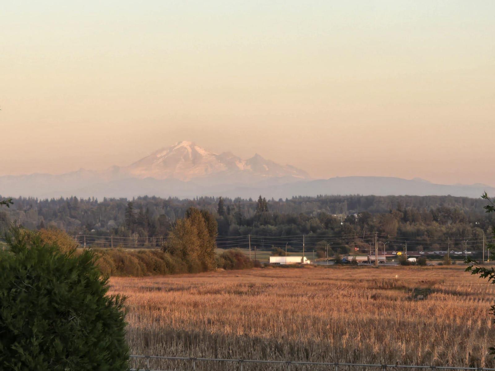 37 20560 66 AVENUE, Langley