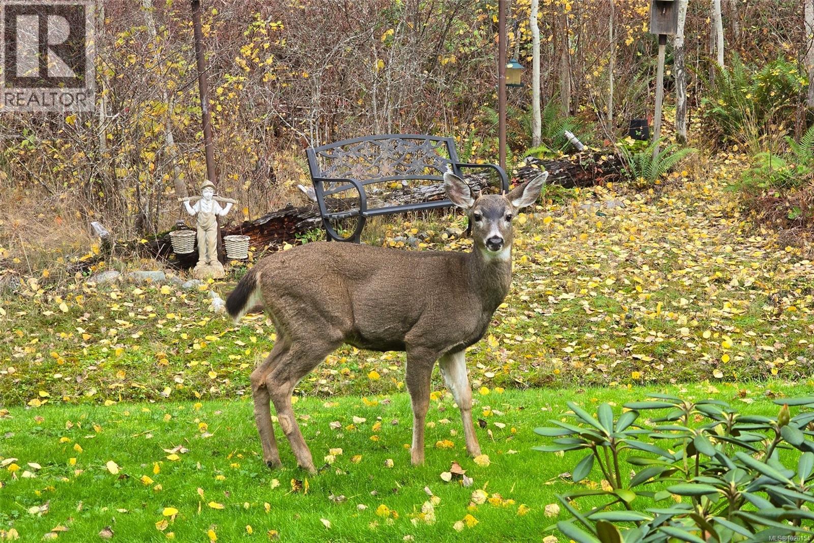 10 3500 McKnight St, Port Alberni