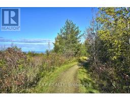 50 Trott Boulevard, Collingwood, ON L9Y5B6 Photo 8