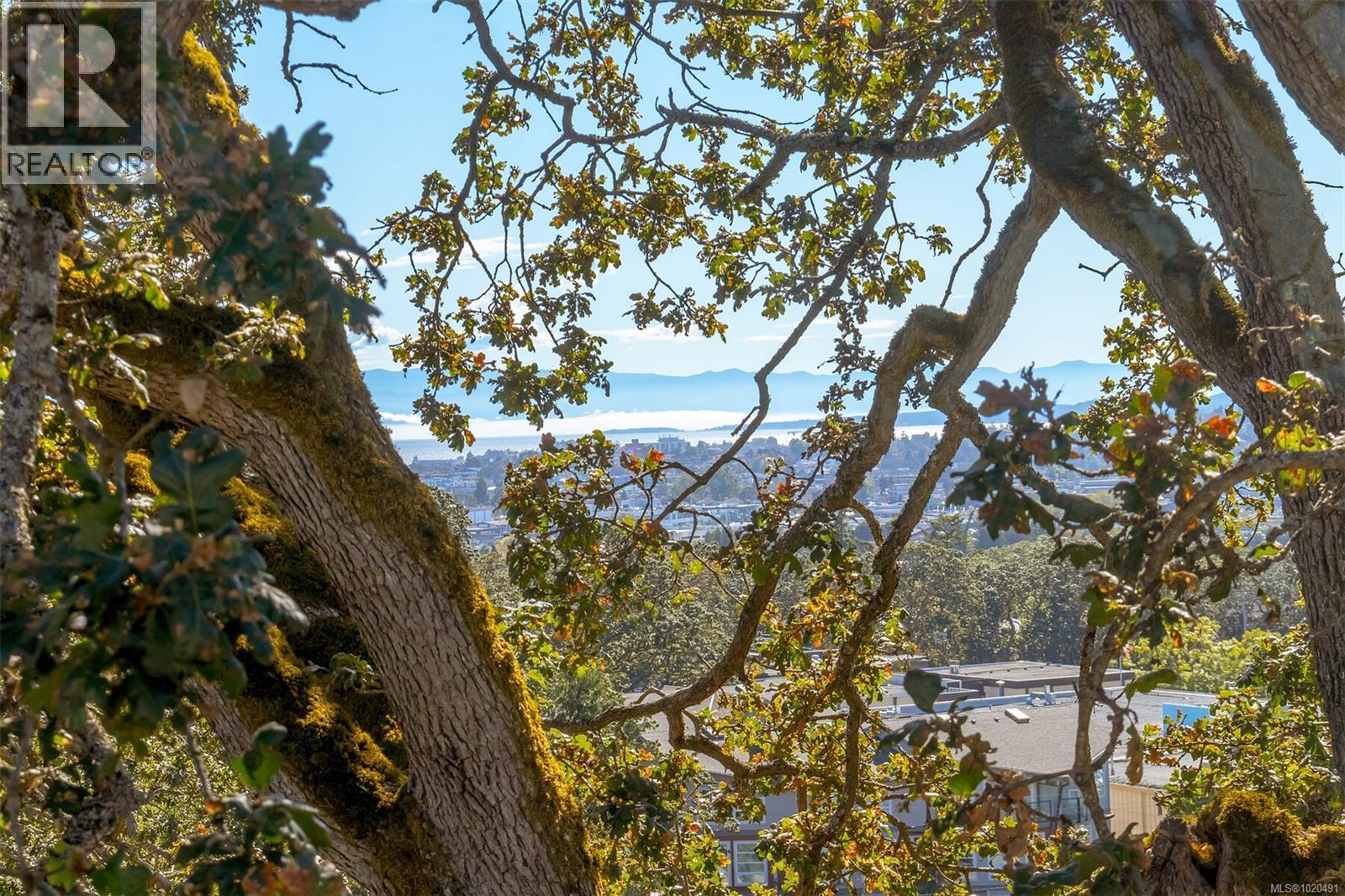 104 1196 Clovelly Terr, Saanich