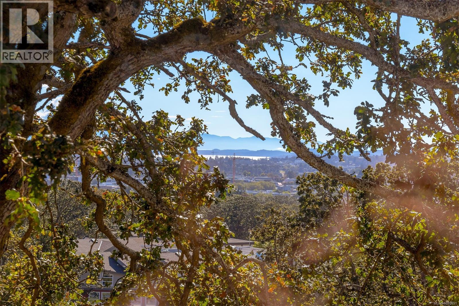 104 1196 Clovelly Terr, Saanich