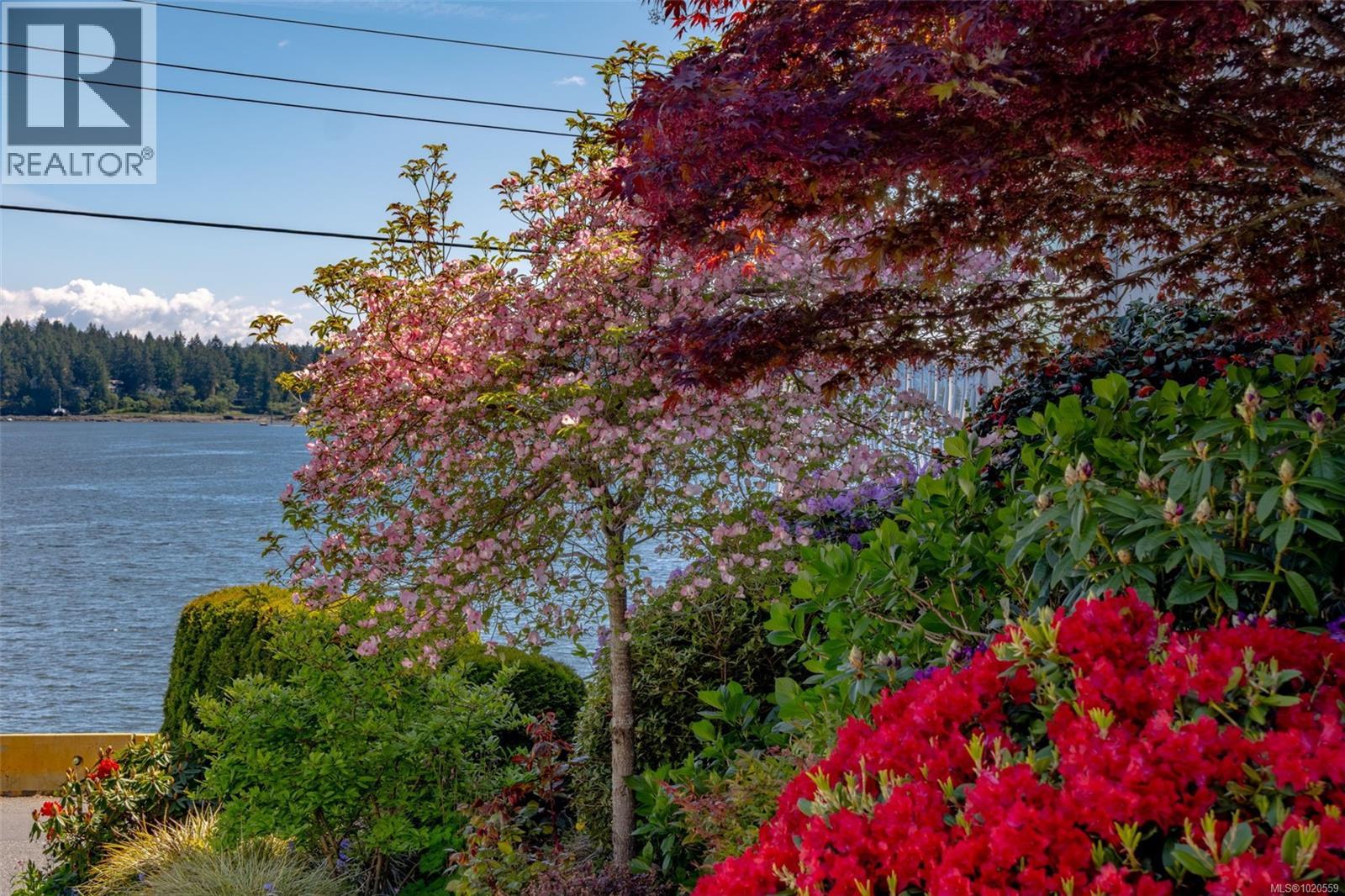 402 55 Dawes St, Nanaimo