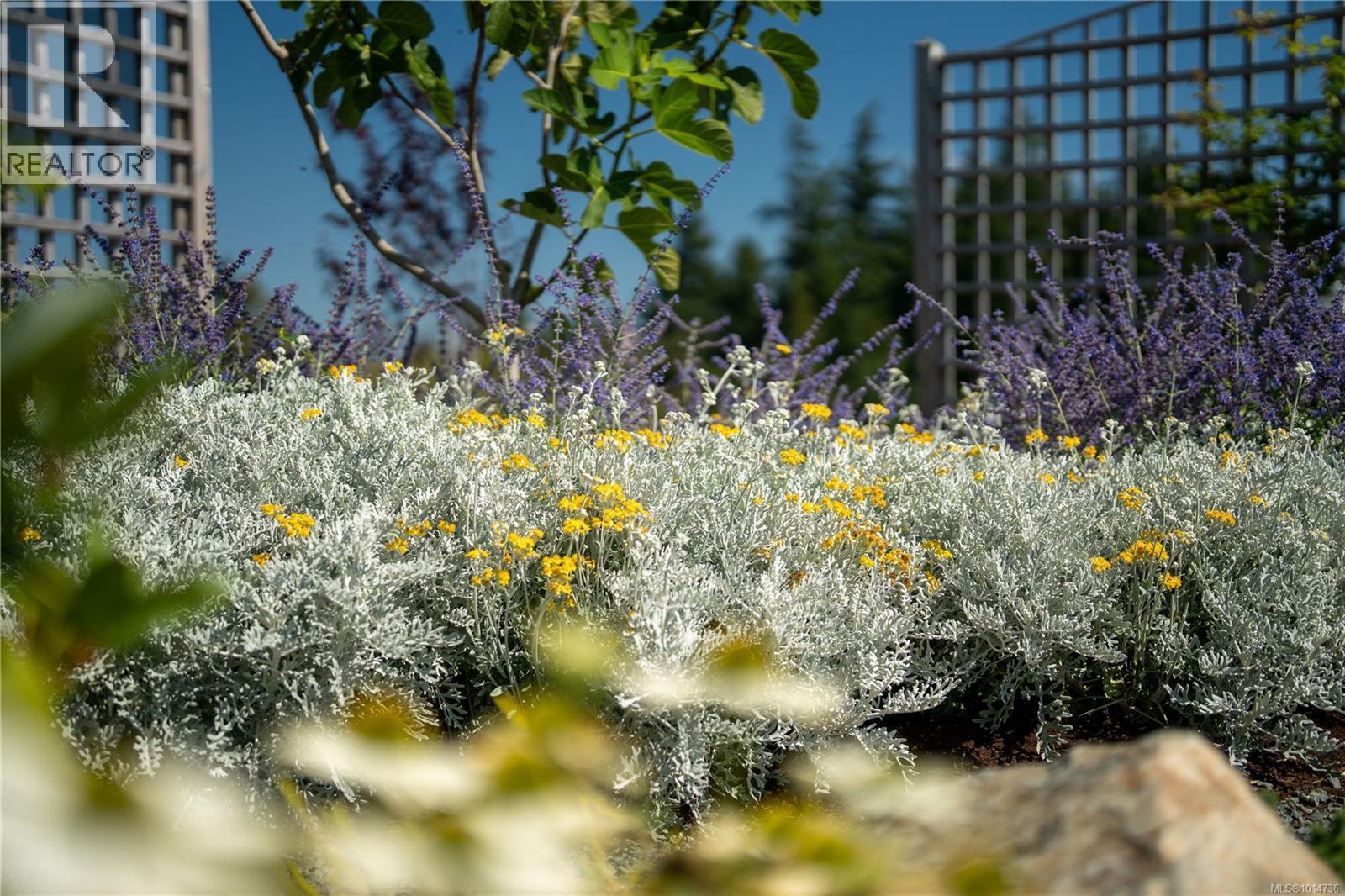 735 Arden Rd, Metchosin