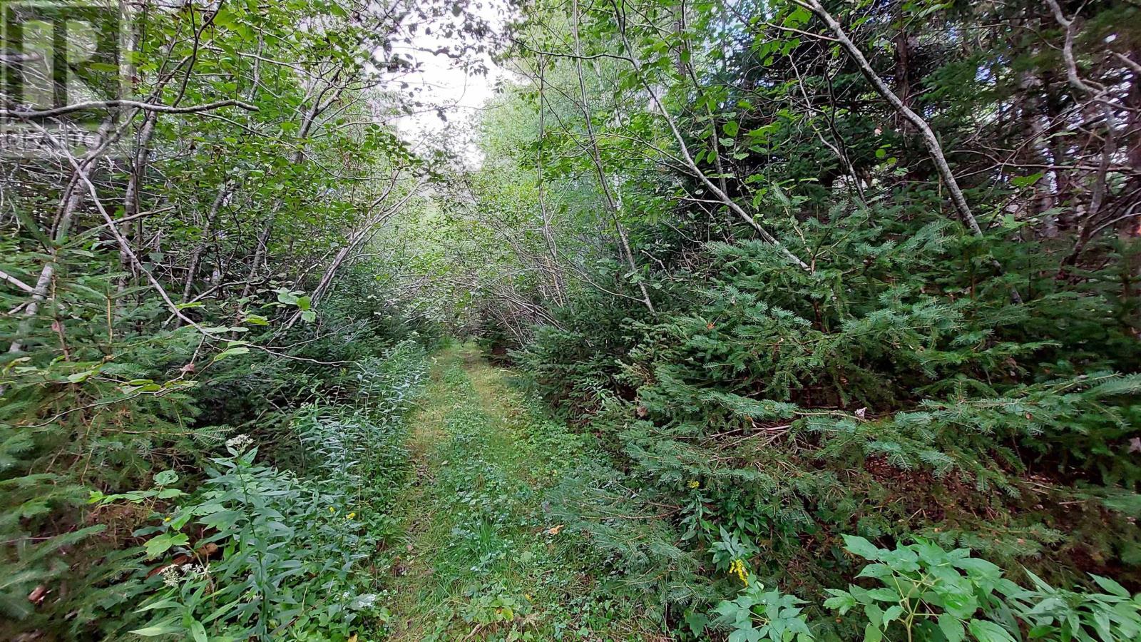 Property 20 of 24 of Lot 14 Golden Shore Dr