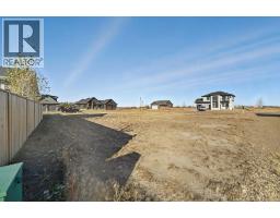 4009 Mimosa Way, Stettler, AB T0C2L2 Photo 10