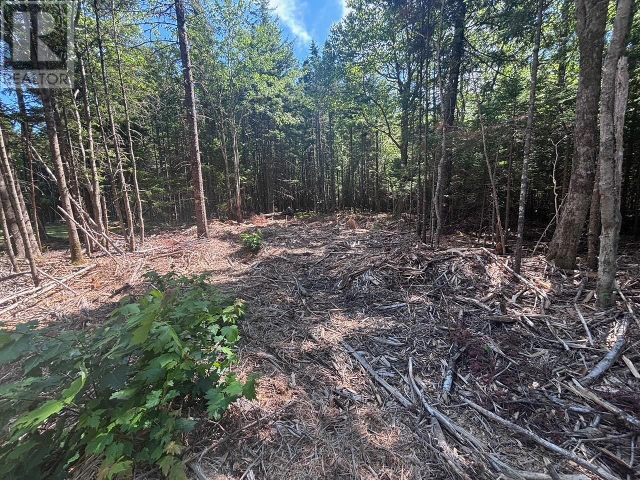 Property photo of 11A Nicholas Drive