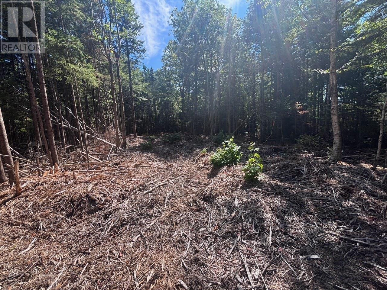 Property 1 of 6 of 11A Nicholas Drive