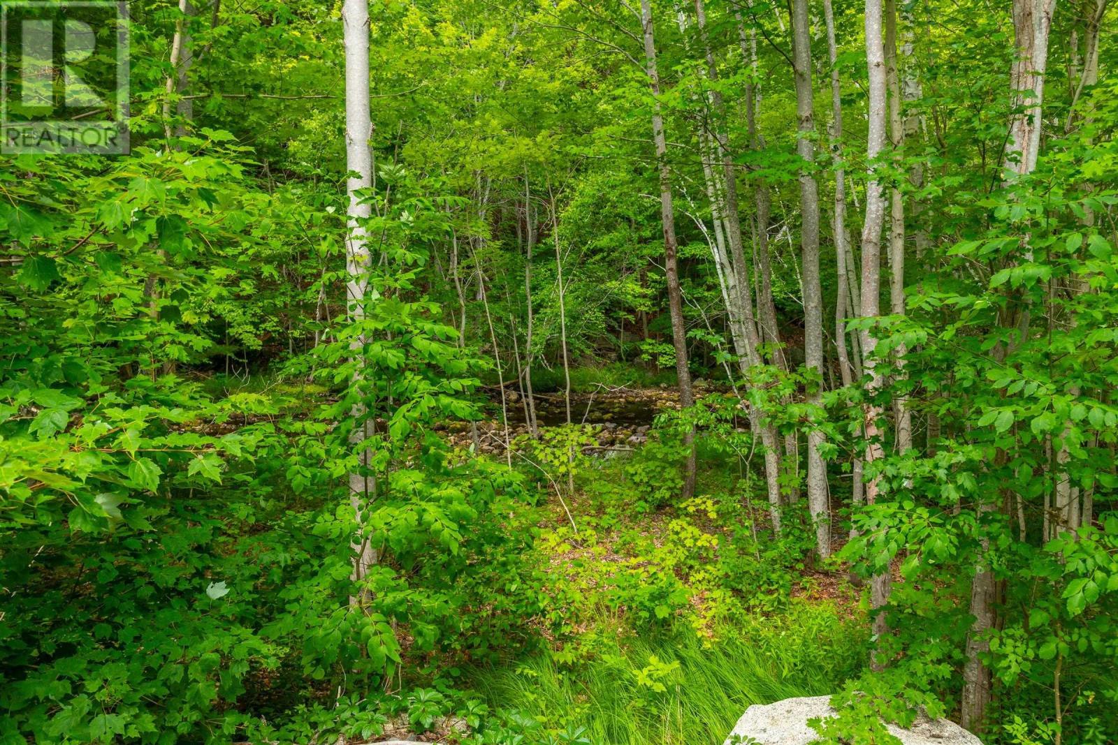 Property 4 of 13 of Lot 1438 River Road