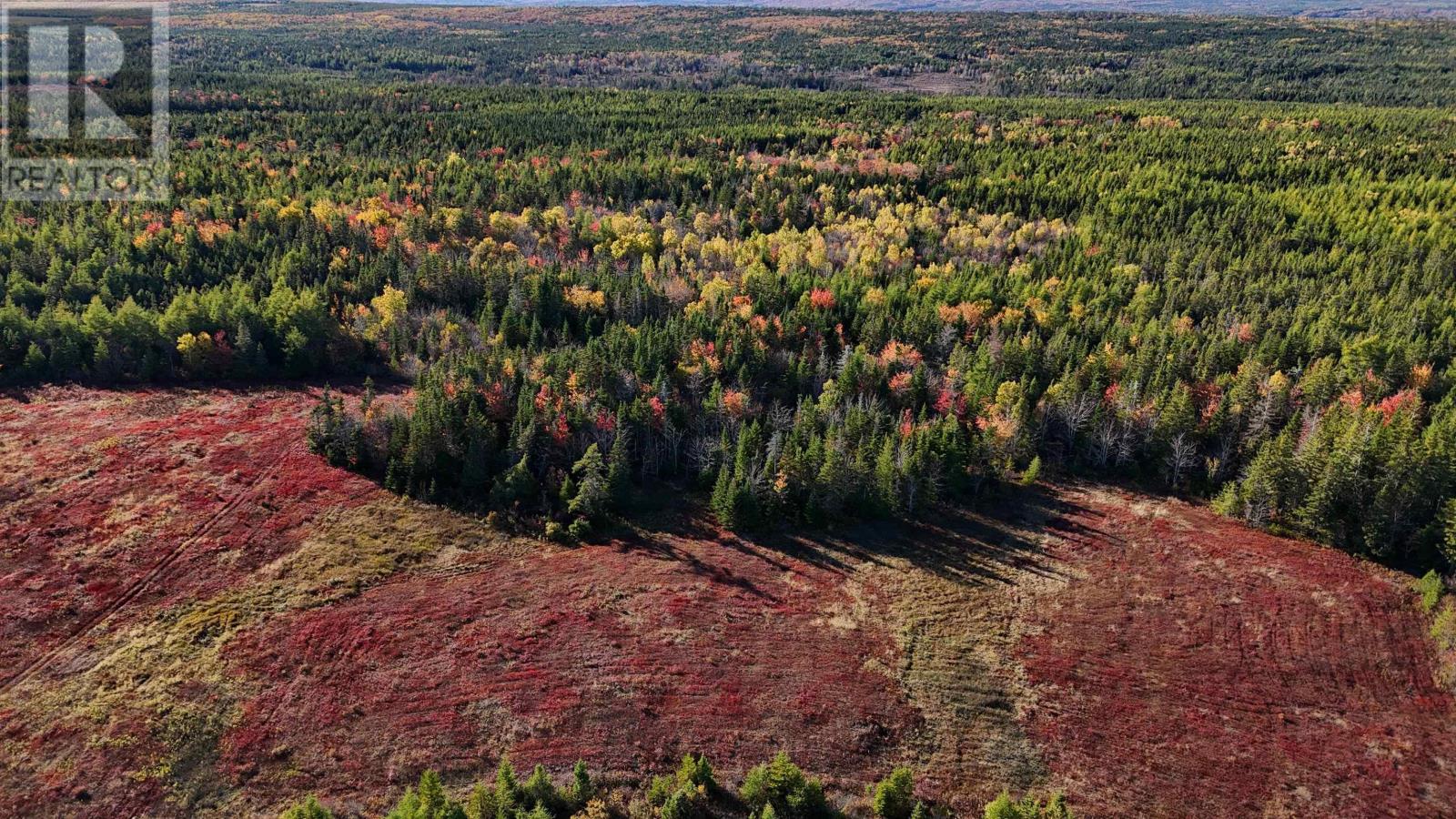 Property 14 of 17 of Bengal-Oceanview Road