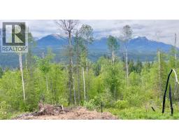Ls15 Adolph Johnson Road, Golden, BC V0A1H0 Photo 7