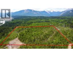 Ls15 Adolph Johnson Road, Golden, BC V0A1H0 Photo 12