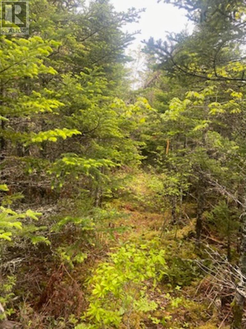 Property 19 of 30 of 125 Brans Way