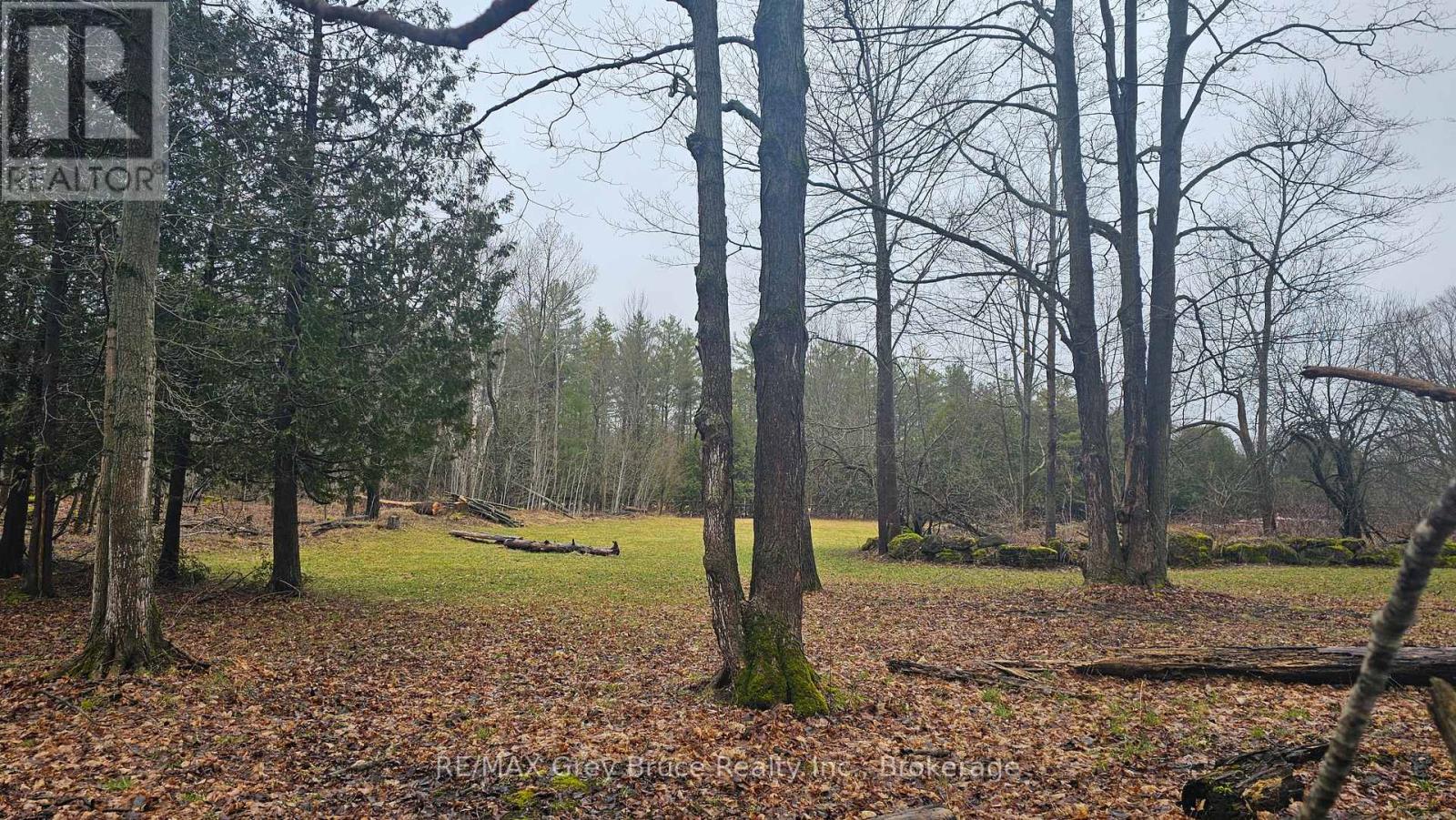 PT LT 1 CONCESSION RD 21 ROAD - Photo 4 of 27, Georgian Bluffs, Ontario