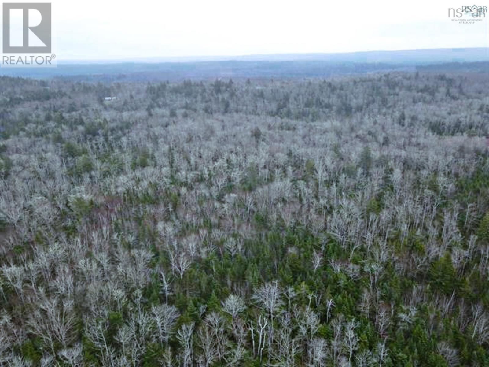 Property 3 of 4 of A95-2 Lakecrest Drive