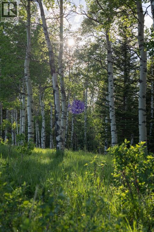 231175 Bracken Road, Bragg Creek