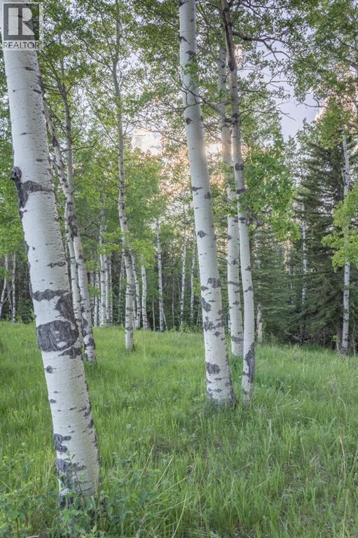 231175 Bracken Road, Bragg Creek