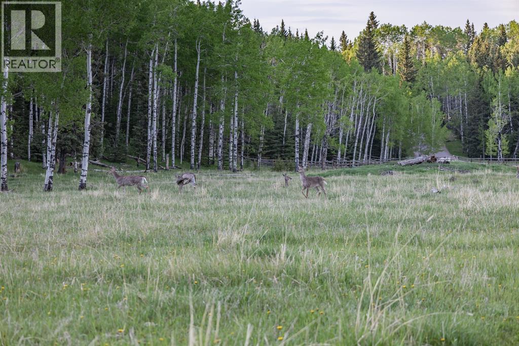 231175 Bracken Road, Bragg Creek