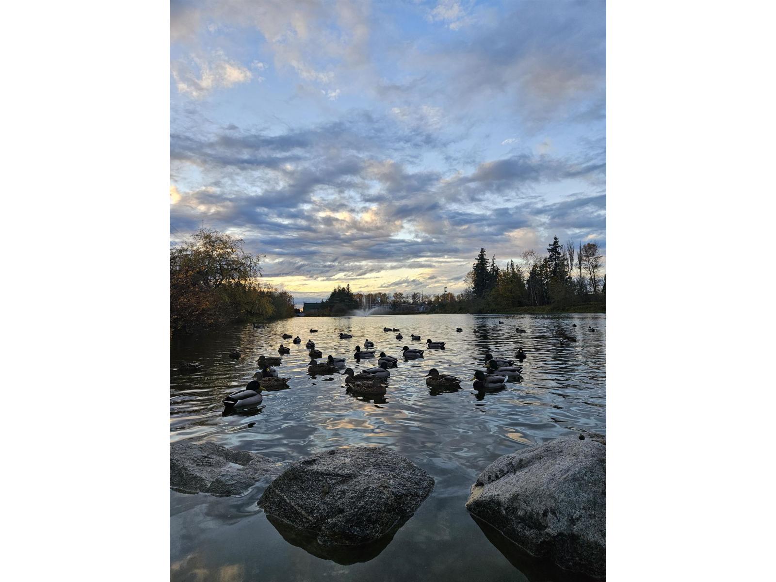 5345 199 STREET, Langley